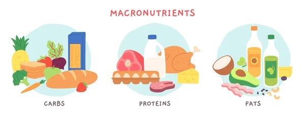 Makronutrien makanan. Lemak, karbohidrat dan kelompok makanan protein dengan buah-buahan dan produk susu. Kompleks nutrisi untuk vektor diet infografis - Stok Vektor