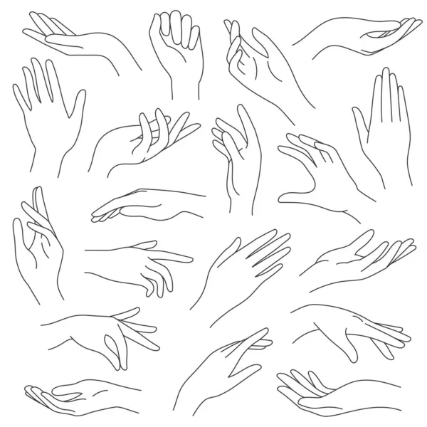 Vrouwelijke handen lijn. Schets elegante handgebaren van vrouwen. Mooie palm en vingers pictogrammen in een lijn mode minimalistische stijl, vector set — Stockvector