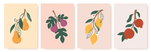 Abstraktní plakát s ovocem. Moderní tisky s letním ovocem, listy a květinami. Citrónové, hruškové a fíkové větve v minimalistickém vektorovém setu — Stockový vektor