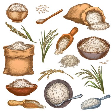 Pirinç çuvalları ve mısır gevrekleri. Antika poşetler, kaseler ve tahıllı kepçeler. Kulak dikenleri ve tohum yığını. Renkli oymalı çiftlik organik gıda vektörü seti