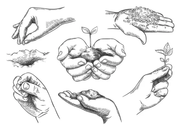 Hands with plant sprout. Farmer hand holding soil and planting seeds. Save nature, grow new trees. Agriculture and ecology sketch vector set — Archivo Imágenes Vectoriales