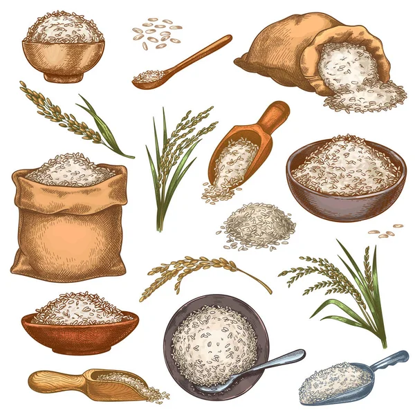 Sacs de riz et céréales. Sacs, bols et cuillères vintage avec des grains. Épis d'oreille et tas de graines. Ensemble vecteur alimentaire biologique gravé coloré de ferme — Image vectorielle