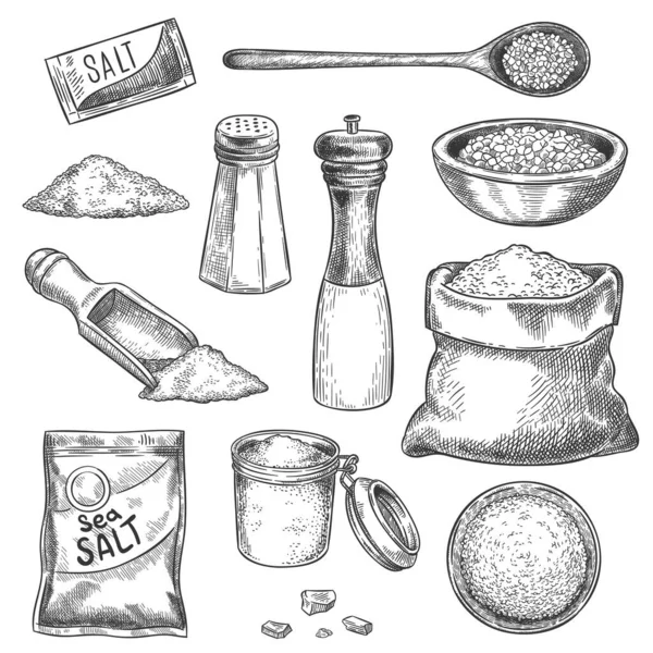 Meersalz. Skizzieren Sie alte Handmühle mit Gewürzen und Gewürzen. Gravierte Gläser, Löffel und Beutel mit organischen Salzkristallen zum Kochen, Vektor-Set — Stockvektor
