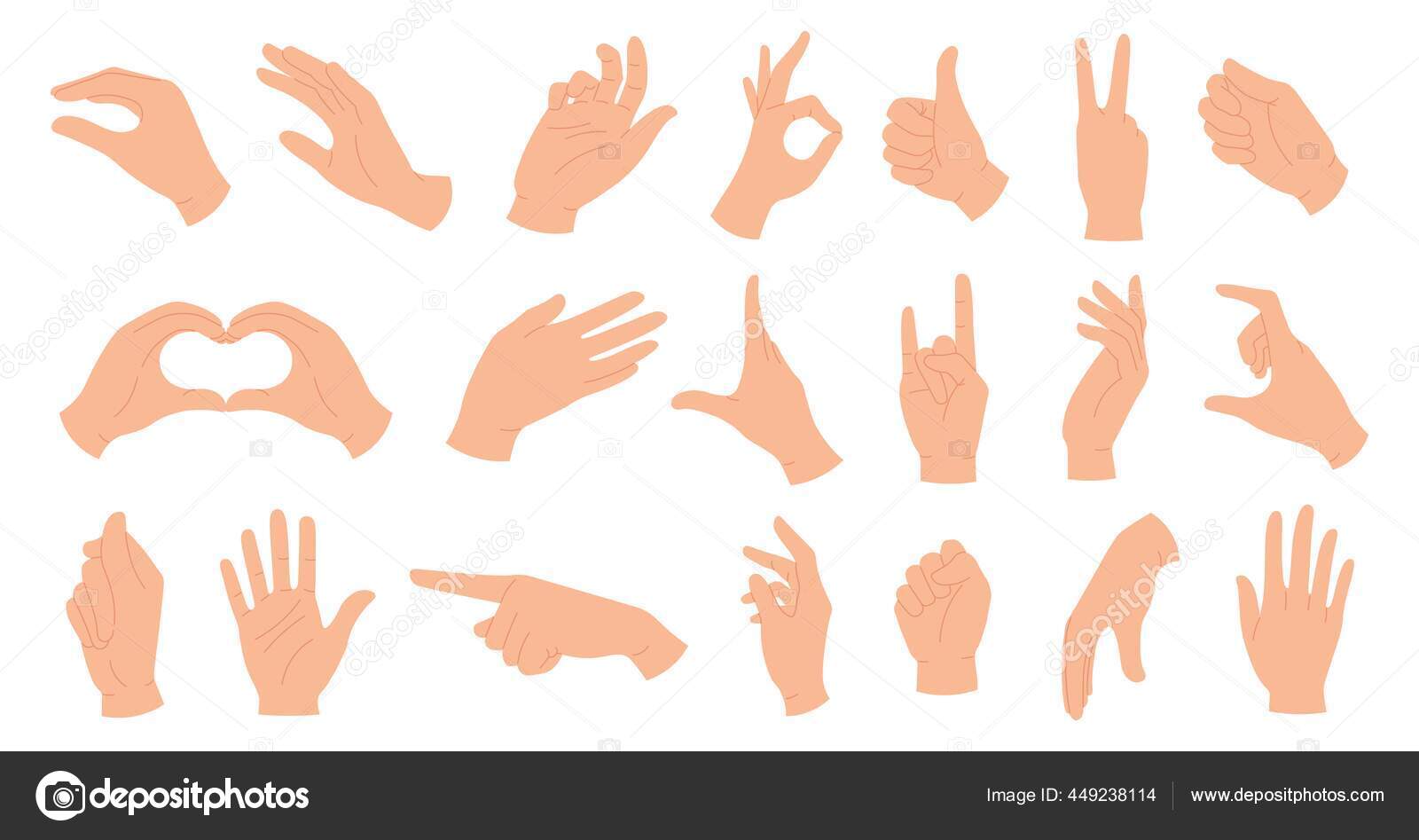 Hands Poses. Female and Male Hand Holding and Pointing Gestures, Fingers  Crossed, Fist, Peace and Thumb Up Stock Vector - Illustration of emoji,  rock: 249978362