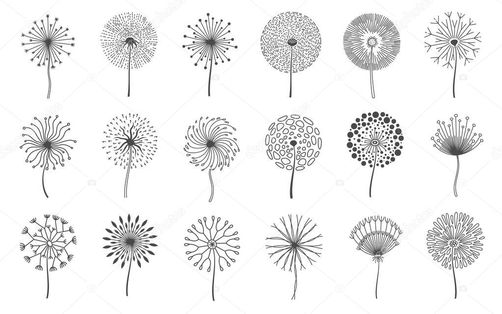Dandelion flowers. Fluffy meadow flower with seeds. Summer natural floral fluff silhouette. Line blossom decorative logo elements vector set. Herbal or botanical blooming fragile plant