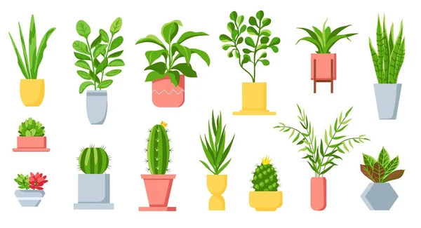 Φυτά κατσαρόλας. Σπίτι τροπικά φύλλα, δέντρο, παχύφυτα και κάκτους. Αστική ζούγκλα, σπίτι πράσινο κήπο σε γλάστρες. Σύνολο φορέα Cartoon houseplant — Διανυσματικό Αρχείο