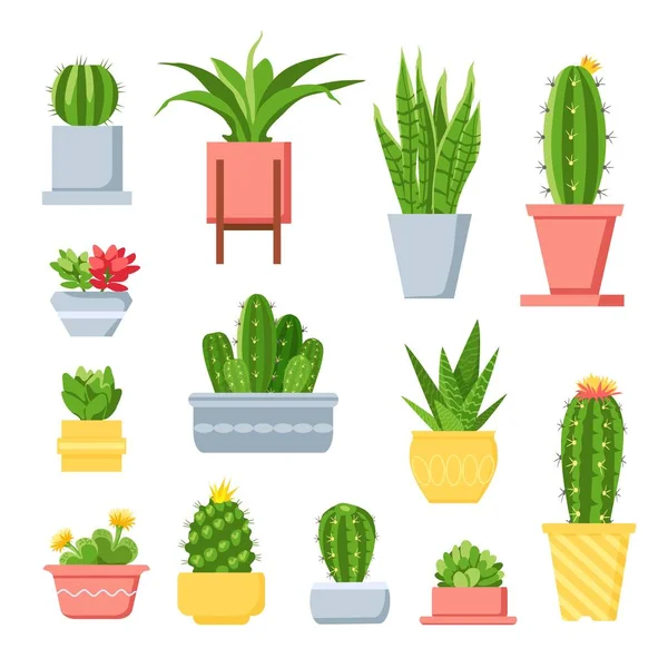 Cactus et succulents. Mignon cactus de dessin animé dans des pots. Plante mexicaine exotique maison avec des épines et des fleurs. Ensemble vecteur succulent jardin décoratif — Image vectorielle