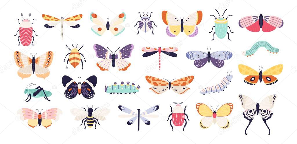 insectos, mariposas, escarabajos, flores. marco de vector en forma