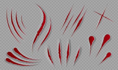 Blood scratches and cuts. Bloody scars and sharp slashes. Ripped wounds by animal paws. Halloween scary decor. Cat claws tracks vector set clipart