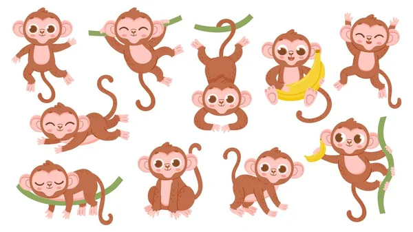 Mignon dessin animé jungle bébé singe personnage pose. Mascotte exotique d'animal tropical, singe sautant sur l'arbre, tenant ensemble banane et vecteur endormi — Image vectorielle