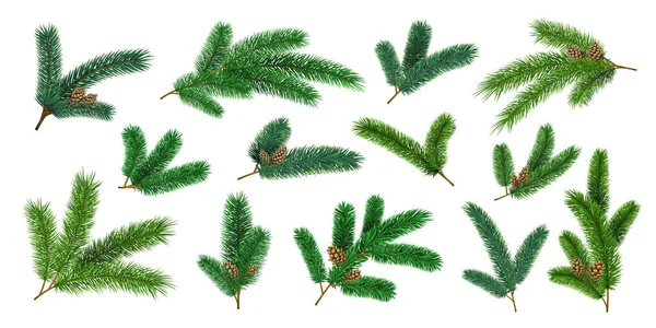 松と現実的なクリスマスツリーの枝やモミの小枝。常緑のクリスマスの装飾用のガーランド松。3Dフォレスト松の針ベクトルセット — ストックベクタ