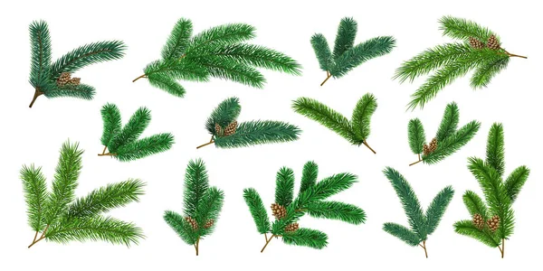 Realistic christmas tree branches and fir twigs with pinecone. Evergreen xmas pine decoration garlands. 3d forest pines needles vector set — Stock Vector