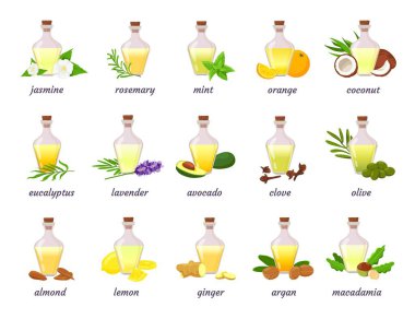 Kozmetik malzemeleri, bitki, meyve ve çiçekli yağ şişesi. Lavanta, argan, hindistan cevizi ve badem yağı. Aromaterapi ya da deri yağ vektörü seti