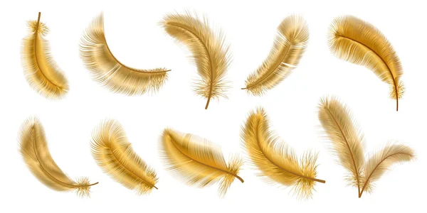Realista 3d fantasía pájaro plumas de oro esponjosas. Pluma elegante glamour oro decorativo. Volando, cayendo y girando conjunto de vectores de plumas blandas — Vector de stock