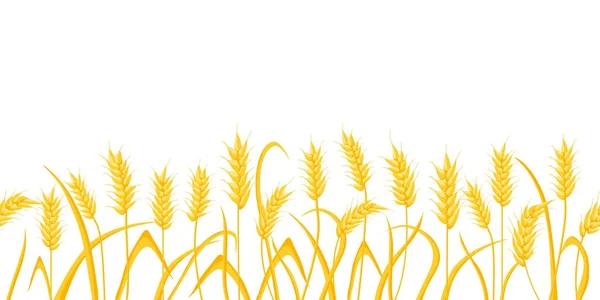 金色の小麦のスパイクと漫画の農場のフィールドの背景。農業用シリアル作物の耳。穀物収穫ベクトル境界パターンを持つ農村風景 — ストックベクタ