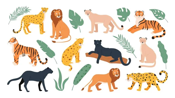 Animais grandes da família felina, tigre, leão, chita e leopardo. Gatos selvagens de savana e floresta tropical. Jaguar e pantera conjunto vetor plana —  Vetores de Stock