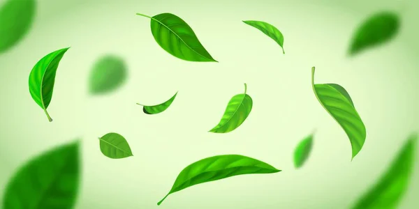 Fond réaliste avec des feuilles de thé vert volant dans le vent. Nature effet frais avec des feuilles de plantes dans l'air. Bannière vectorielle de plantation de thé biologique — Image vectorielle