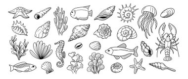 Deniz yaban hayatı karalaması. Mercan, deniz yıldızı ve kabuk, deniz atı ve yumuşakça, ıstakoz ve deniz yosunu, denizanası şirin akvaryum deniz canlıları. El çizimi izole okyanus hayvanları, deniz çizimi vektörü seti.