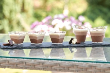 Yaz bitkilerinin bulanık arka planında çikolatalı mus tatlısı.