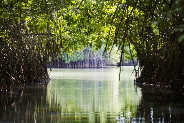 Sri lanka lagoon