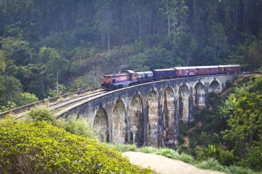 Sri lanka peyzaj