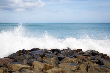 Sri lanka peyzaj