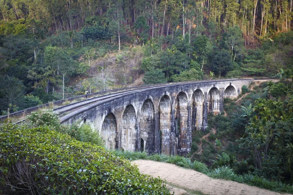 Sri lanka landscape — Stock Photo, Image