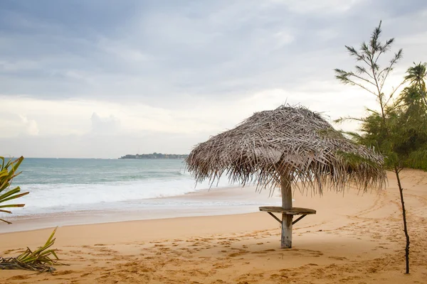 Sri lanka landscape — Stock Photo, Image