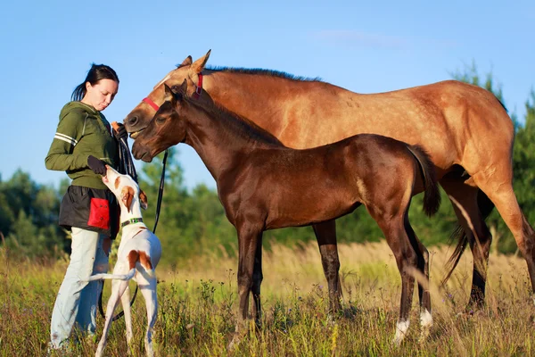 Tiere und Frau — Stockfoto