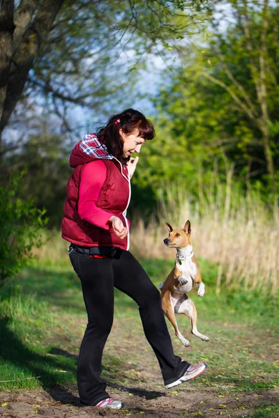 Animal — Stock Photo, Image