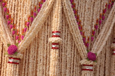 Garland pirinç attı