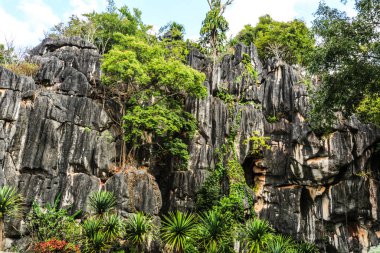 Kunming Tayland. Suan Hin Pha Ngam Bahçe Parkı Rock Dağı arka planında turizm için. Ban Na Fai, Nong Hin Alt Bölgesi, Nong Hin Dist
