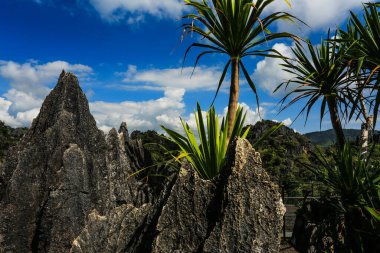 Kunming Tayland. Suan Hin Pha Ngam Bahçe Parkı Rock Dağı arka planında turizm için. Ban Na Fai, Nong Hin Alt Bölgesi, Nong Hin Dist