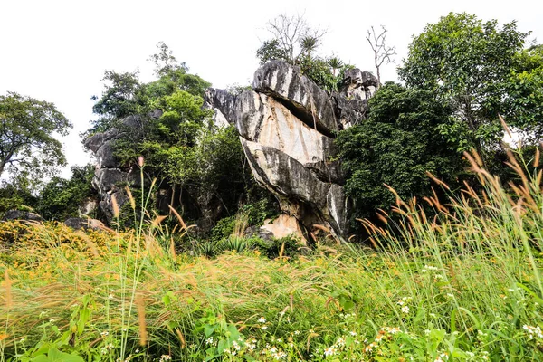 Kunming Thailandia Suan Hin Pha Ngam Giardino Parco Ricevere Turismo — Foto Stock