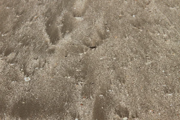 Sporen in het zand — Stockfoto