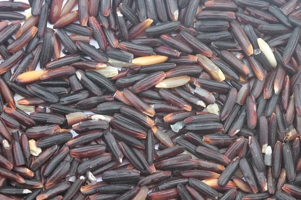 Black rice — Stock Photo, Image