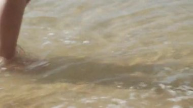 Tatilde sahilde yürüyen bacaklar, yaz teması