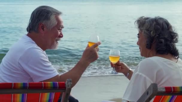 Elderly Asian Couple Happily Sat Drinking Wine Beach Bed Sea — Stock Video