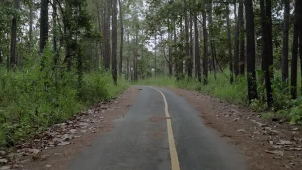 Caminhada Vedio Tiro Estrada Através Floresta Thung Salaeng Luang National — Vídeo de Stock