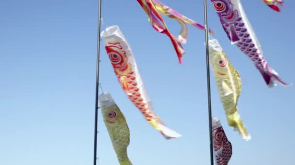 Bandeira Carpa Símbolo Koi Bori Dia Dos Rapazes Japoneses Designada — Vídeo de Stock