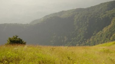 Çayırların manzarası, mae pan, Chiang Mai Eyaleti Tayland