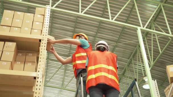 Trabajadores Asiáticos Usan Escaleras Para Organizar Almacenes Pisos Altos — Vídeo de stock