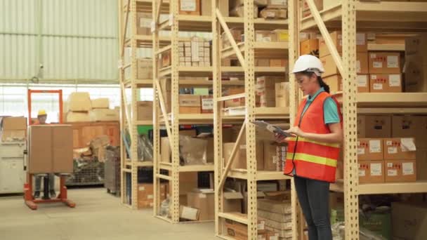 Asian Workers Stacking Products Shelves Warehouse — Videoclip de stoc