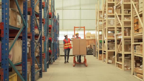 Asian Workers Stacking Products Shelves Warehouse — стокове відео