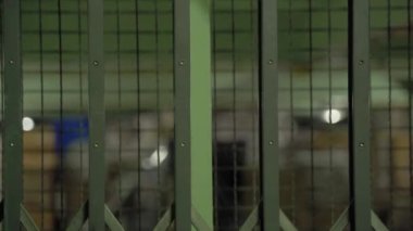 Endüstriyel bir fabrikada antika kargo kapısı. Menteşeli çelik bir kapı.