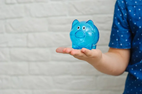 Boy and pig piggy bank, child support concept. Excited little boy with piggy bank on color background.
