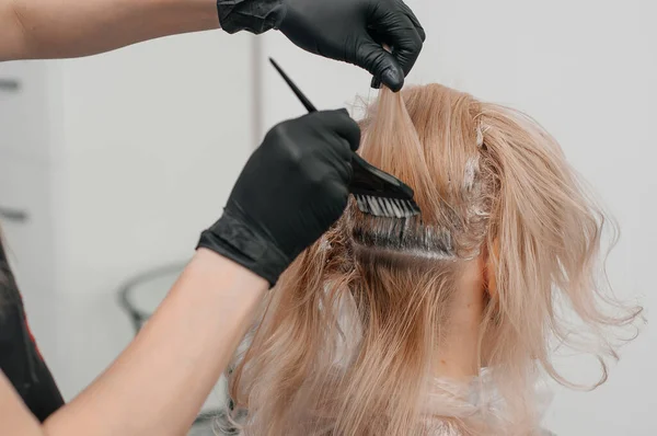 Hairdresser hands bleaching strands of blonde woman hair in beauty salon. Closeup.