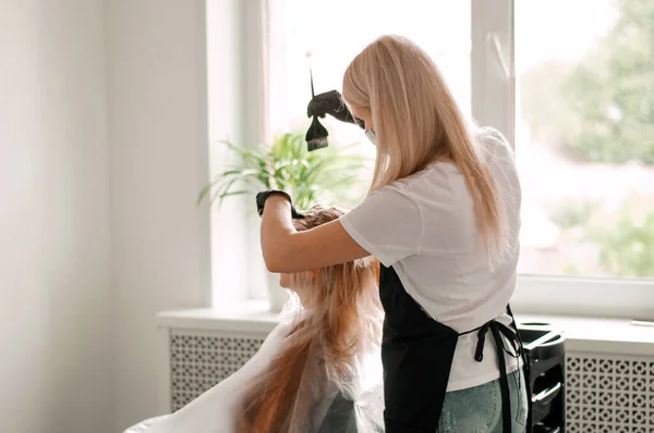 Hair coloring in the salon. A professional master dyes blonde hair in a beauty salon. The concept of beauty, hair care.