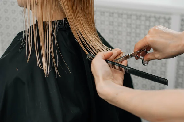 Kobiece Dłonie Fryzjera Trzymają Rude Włosy Kobiety Grzebieniem Między Palcami Obraz Stockowy