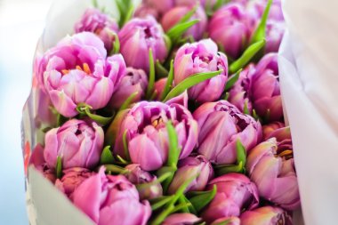 ahşap zemin üzerinde pembe laleler demet